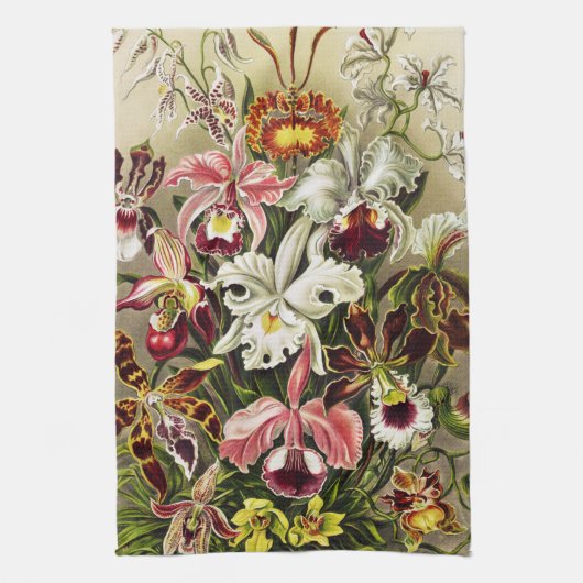 Orchideen Denusblumen Ernst Haeckel Geschirrtuch (Vertikal)