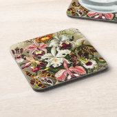 Orchideen Denusblumen Ernst Haeckel Getränkeuntersetzer (Linke Seite)