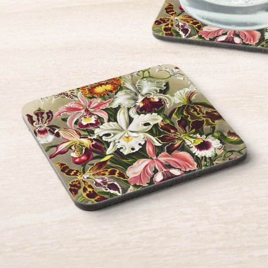 Orchideen Denusblumen Ernst Haeckel Getränkeuntersetzer (Linke Seite)