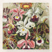 Orchideen Denusblumen Ernst Haeckel Glasuntersetzer (Vorderseite)
