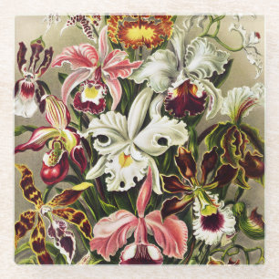 Orchideen Denusblumen Ernst Haeckel Glasuntersetzer