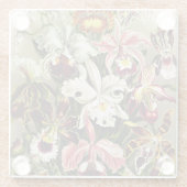 Orchideen Denusblumen Ernst Haeckel Glasuntersetzer (Rückseite)