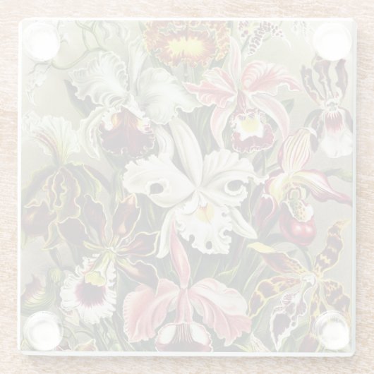 Orchideen Denusblumen Ernst Haeckel Glasuntersetzer (Rückseite)