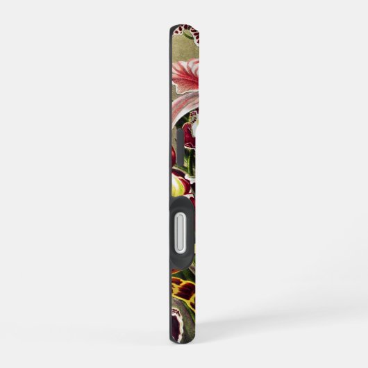 Orchideen Denusblumen Ernst Haeckel iPhone 16 Hülle (Rechte Seite)