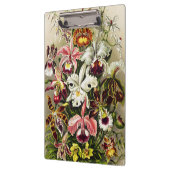 Orchideen Denusblumen Ernst Haeckel Klemmbrett (Links)