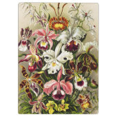 Orchideen Denusblumen Ernst Haeckel Klemmbrett (Rückseite)