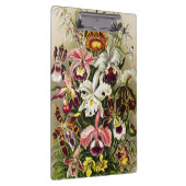 Orchideen Denusblumen Ernst Haeckel Klemmbrett (Rechts)
