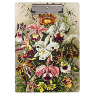 Orchideen Denusblumen Ernst Haeckel Klemmbrett