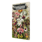 Orchideen Denusblumen Ernst Haeckel Mini Klemmbrett (Gewinkelt2)