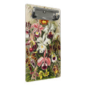 Orchideen Denusblumen Ernst Haeckel Mini Klemmbrett (Schrägansicht)