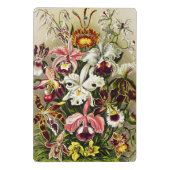 Orchideen Denusblumen Ernst Haeckel Mini Klemmbrett (Rückseite)