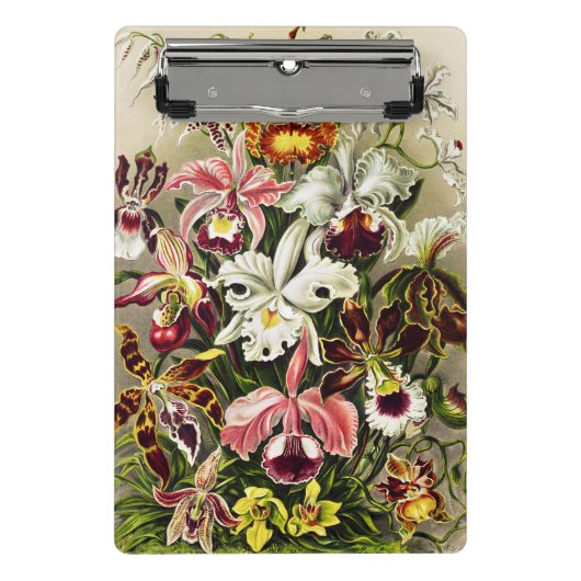 Orchideen Denusblumen Ernst Haeckel Mini Klemmbrett (Vorderseite)