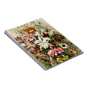 Orchideen Denusblumen Ernst Haeckel Notizblock (Rechte Seite)
