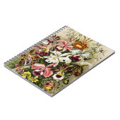 Orchideen Denusblumen Ernst Haeckel Notizblock (Linke Seite)