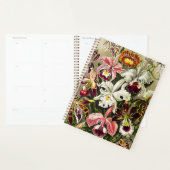 Orchideen Denusblumen Ernst Haeckel Planer (Anzeige)