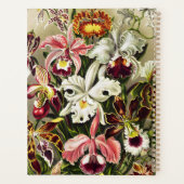 Orchideen Denusblumen Ernst Haeckel Planer (Rückseite)