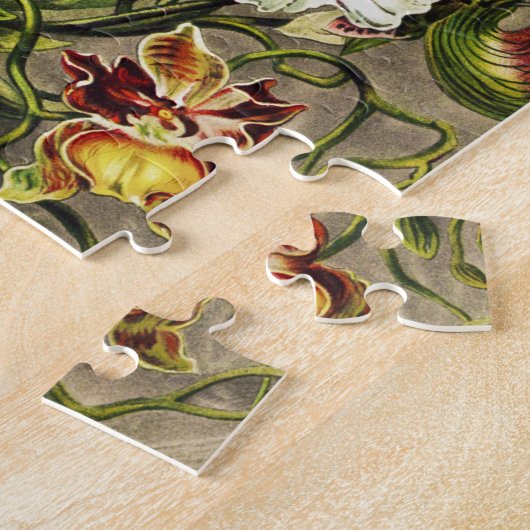 Orchideen Denusblumen Ernst Haeckel Puzzle (Seite)