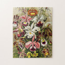 Orchideen Denusblumen Ernst Haeckel Puzzle