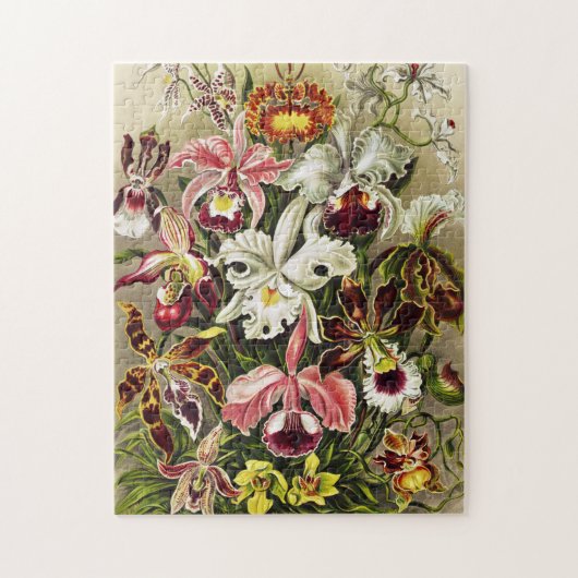 Orchideen Denusblumen Ernst Haeckel Puzzle (Vertikal)