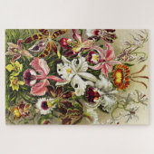 Orchideen Denusblumen Ernst Haeckel Puzzle (Horizontal)