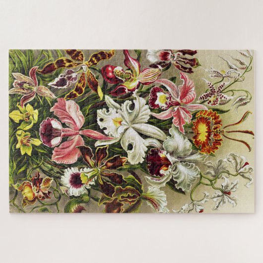 Orchideen Denusblumen Ernst Haeckel Puzzle (Horizontal)