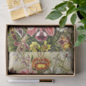 Orchideen Denusblumen Ernst Haeckel Seidenpapier (Geschenk)