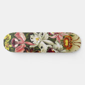 Orchideen Denusblumen Ernst Haeckel Skateboard (Horizontal)