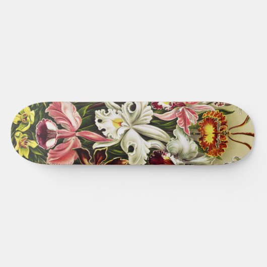 Orchideen Denusblumen Ernst Haeckel Skateboard (Horizontal)