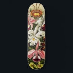 Orchideen Denusblumen Ernst Haeckel Skateboard<br><div class="desc">Orchideen,  Denusblumen Ernst Haeckel aus Kunstformen der Natur (1904). Hübsche Vintag Schöne,  dunkelrosa Maroon-Blume in dunkelrosa Farbe Illustration</div>