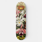Orchideen Denusblumen Ernst Haeckel Skateboard (Vorderseite)
