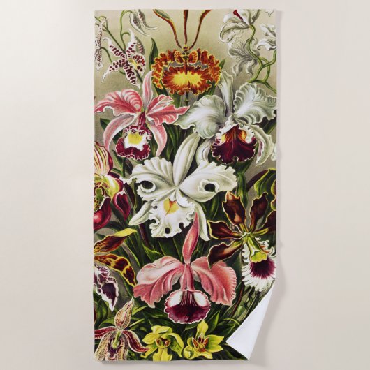 Orchideen Denusblumen Ernst Haeckel Strandtuch (Vorderseite)