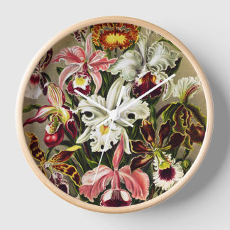 Orchideen Denusblumen Ernst Haeckel Uhr