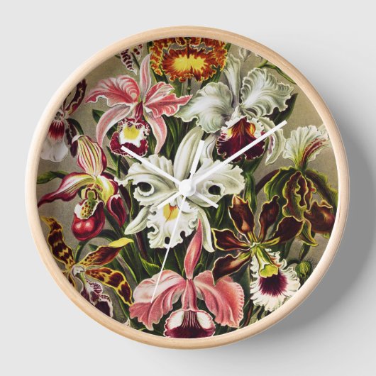 Orchideen Denusblumen Ernst Haeckel Uhr (Vorderseite)