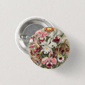 Orchideen Denusblumen von Ernst Haeckel Button (Vorne & Hinten)