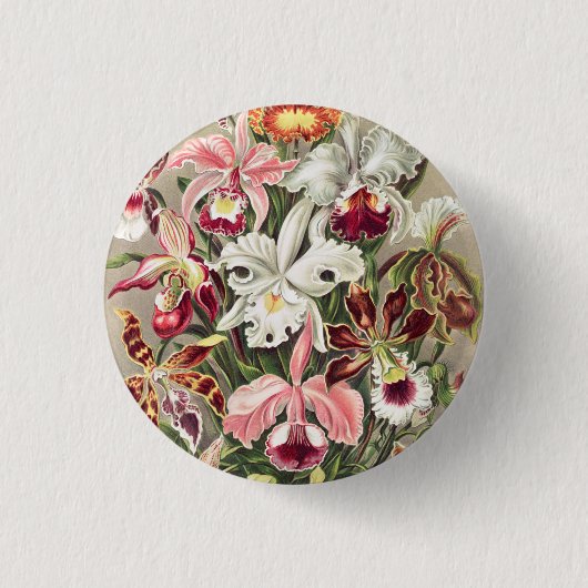 Orchideen Denusblumen von Ernst Haeckel Button (Vorderseite)