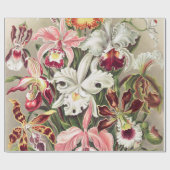 Orchideen Denusblumen von Ernst Haeckel Geschenkpapier (Flach)
