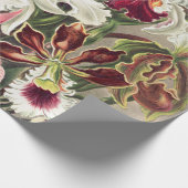 Orchideen Denusblumen von Ernst Haeckel Geschenkpapier (Ecke)