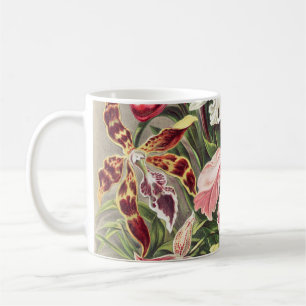 Orchideen Denusblumen von Ernst Haeckel Kaffeetasse