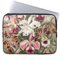 Orchideen Denusblumen von Ernst Haeckel