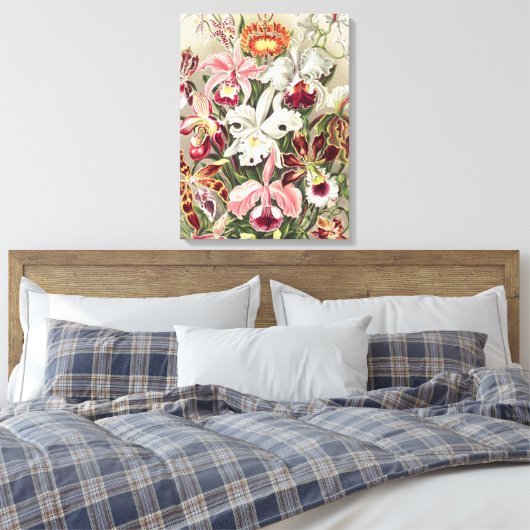 Orchideen Denusblumen von Ernst Haeckel Leinwanddruck (Insitu (Schlafzimmer))