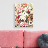 Orchideen Denusblumen von Ernst Haeckel Leinwanddruck (Insitu (Wohnzimmer))