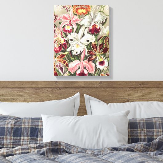 Orchideen Denusblumen von Ernst Haeckel Leinwanddruck (Insitu (Schlafzimmer))