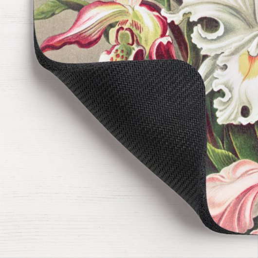 Orchideen Denusblumen von Ernst Haeckel Mousepad (Ecke)