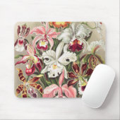 Orchideen Denusblumen von Ernst Haeckel Mousepad (Mit Mouse)