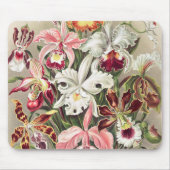 Orchideen Denusblumen von Ernst Haeckel Mousepad (Vorne)