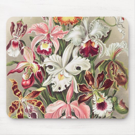 Orchideen Denusblumen von Ernst Haeckel Mousepad (Vorne)
