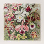 Orchideen Denusblumen von Ernst Haeckel Puzzle<br><div class="desc">Orchideen,  Orchideen Denusblumen von Ernst Haeckel Vintage Pflanze Jigsaw Puzzle.</div>