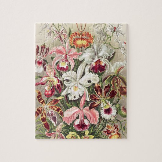 Orchideen Denusblumen von Ernst Haeckel Puzzle (Vertikal)