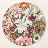Orchideen Denusblumen von Ernst Haeckel Runder Pappuntersetzer (Vorderseite)