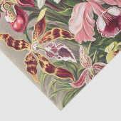 Orchideen Denusblumen von Ernst Haeckel Seidenpapier (Ausschnitt)